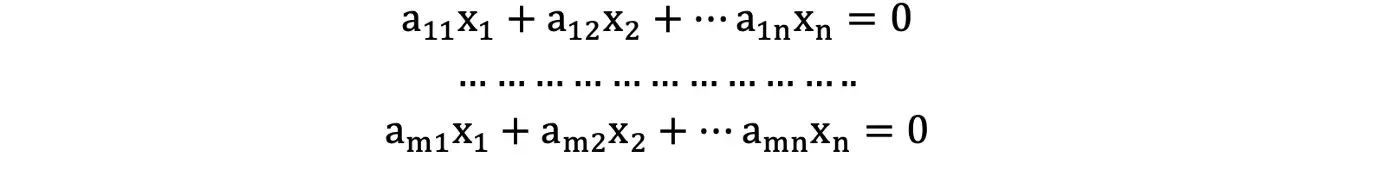 Изображение 4. Однородная система линейных уравнений.